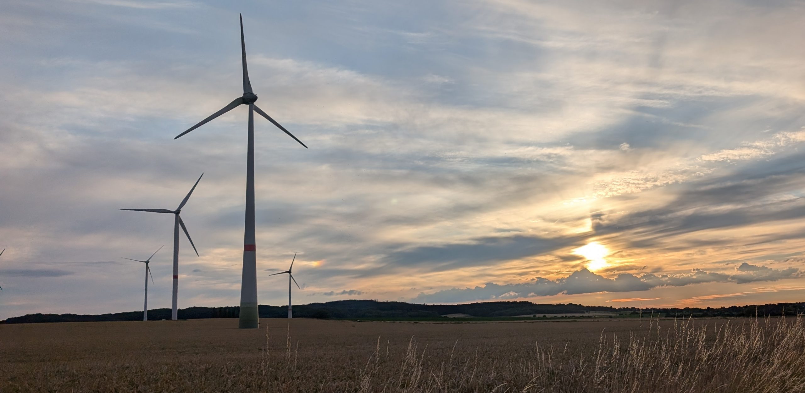Windräder auf einem Feld mit dem Sonnenuntergang im Hintergrund